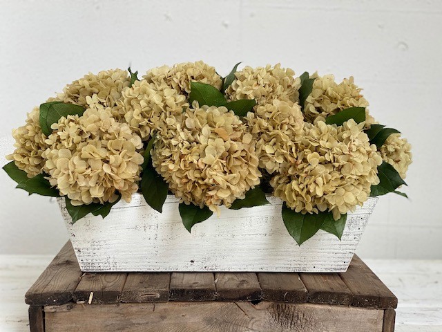 Cottage Natural Hydrangea - Click Image to Close